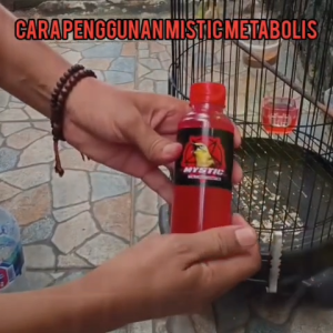 MISTIC Metabolisme Burung Plaeci | Vitamin Dextro Pleci Dosis Tinggi