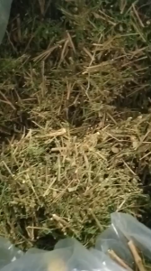 gói 100g cây cam thảo đất sấy khô