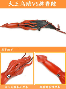 Realistic Toy Dolphin Shark Whales Underwater Sea Creatures Model Dolls Static Animal Figures Hand Controlled Educational Toys