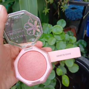 [ ẢNH THẬT ] Má Hồng Bắt Sáng Có Nhũ Any Lady Hàng Nội Địa Trung 9gram