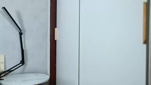 ✅【Local delivery】✅ LED Folding Metal Desk Lamp Clip On Light Clamp Long Arm Dimming Table Lamp Adjustable