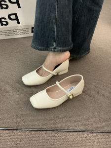 Brown Mary Jane mid Heel Retro Shoes Womens Fashion Single Shoes Comfortable Grandmother Style Spring Autumn Commute Shoes