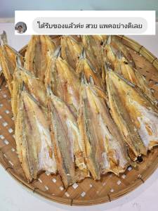 ปลาช่อนทะเลบางใหญ่ ขนาด 1กิโลกรัม  30ตัว+ปลาไม่เค็ม