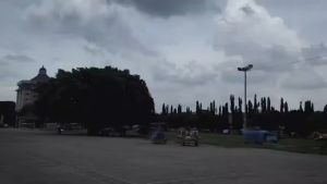 Gratis Ongkir penghitam body motor mobil black efek daun talas seperti baru lagi
