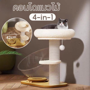 Pattey  4-in-1ไม้แมวคอนโดแมว โครงปีนแมว คอนโดแมวไม้ หลุมอวกาศแมว เสาลับเล็บแมวได้ แมวหมุนของเล่น ของเล่นแมว
