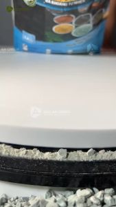 Đá khoáng Zeolite rải mặt sen đá giữ dinh dưỡng cho đất trồng cây cảnh