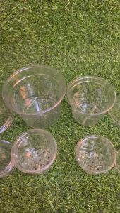 Growth Propagation Pot & Dome Cover: A Comprehensive Guide