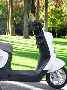 WANSLO | Universal Large Capacity Trunk for Scooters