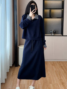 Stylish Elegance Slimming Sporty French Design Plus Size Skirt Set