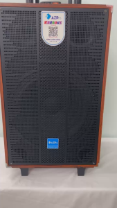 Loa kéo Bluetooth chính hãng AZPROAZ-M16Bass 40-3 đường tiếng thùng gỗ cao cấp
