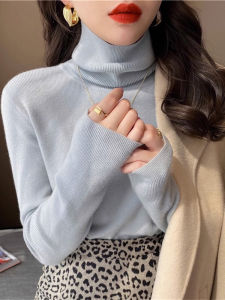 Elegant Fall High Neck Fitting Knitted Top