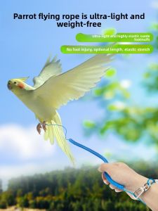 VOA | Training & Tethering Bird Ring 88
