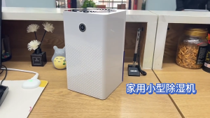 (1-3 Days Delivered)Mini Mute Dehumidifier Portable Air Purifier Energy-saving Silent Quick drying dehumidifier 1L Water Tank 3-pin SG Plug