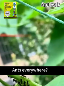 🔥Buy 5 Take 5🔥 Powerful Ant Killer Powder 100% Ant Killing Bait Repel Ant Ant Nest Pesticide Household Harmless
