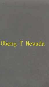 Obeng T USA Bolak-Balik 4 In | Obeng T USA Plus Minus | Screwdriver T USA