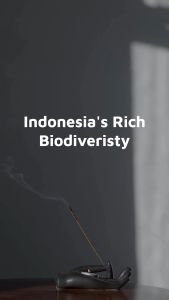 Bali Kultura Shampoo Calming Spa Sensation - Soothe & Calm Shampoo Natural Organic Shampo - 300ml