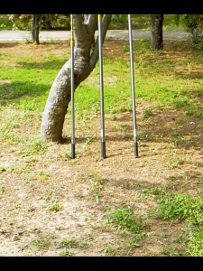 เลือกผลไม้พับเก็บได้พร้อมตะขอเลื่อยและเคียวสำหรับการเก็บเกี่ยวระดับความสูง