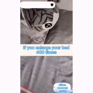 Anti Mite Spray Controller Bed Bug Killer Spray Dust Mite Control Natural Plants Extract With Natural Fast Security To Deodorization Sterilization除螨喷雾剂