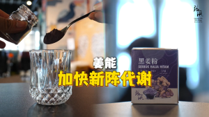 Cheong Hoong Black Ginger Powder Sugar Free 25g