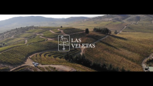 Les Veletas - Awarded Red and White Wines from Chile