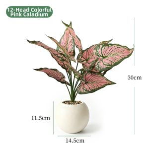 Decorative Realistic Lazy Care Mini Plant