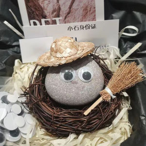 Adorable Pet Stone Cute Accessory for Childrens Room Decor Creative Transformable Wooden Base Kids Will Love This Pet Rock