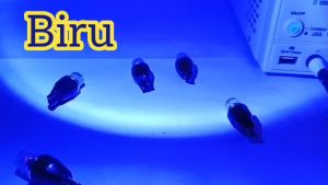 Lampu LED T15 & T10: Mengenal HD Lensa Triple X