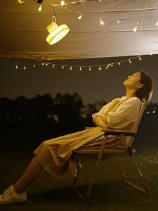 Retro Hyperwind Camping Fan LED Light Adjustable Stand Rechargeable Portable Larger Battery Power Bank Charging Outdoor