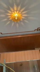 Đèn hắt tường ốp Trần- Hoa hướng dương