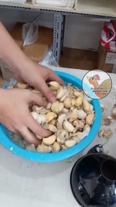 Garlic peeling machine Electric garlic peeling small commercial automatic garlic peeling machine