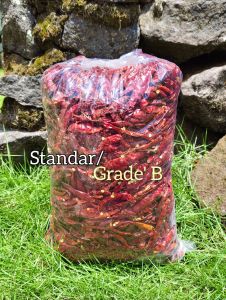 CABE RAWIT TEJA KERING JAPLAK 1KG PROMO MURAH TERLARIS BISA COD