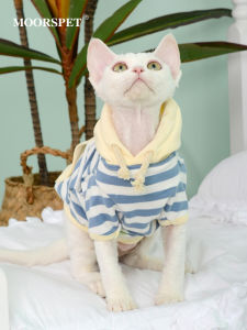 MOMO Pure Cotton Hoodie for Cats English Short Hair Curly Coat Cat Clothes Pet Clothing Spring Autumn Seasonal Wear for Kittens