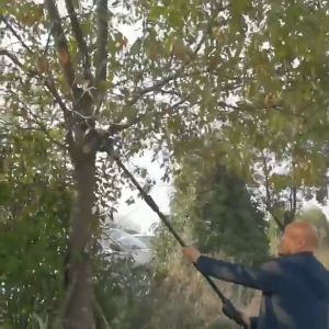 8 Inch Telescoping Pole Electric Chainsaw Cordless 90° Adjustable High altitude branch pruning lengthening rod high branch saw