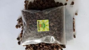 เมล็ดมะละกอฮอลแลนด์ ขนาด 10 กรัม