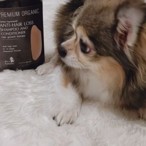 PETSMILE Premium Organic [RICE] Anti-Hair Loss Shampoo and Conditioner for DOG 500ml.