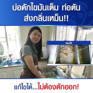 [ส่งฟรี❗] Bio Ball 🌿กำจัดกลิ่นใน 1 นาที 💥จุลินทรีย์แก้ท่อตัน ส้วมเต็ม 🚽หนูแมลงสาปหาย 🪳สลายไขมัน กลิ่นย้อนท่อ ห้องน้ำเหม็น คราปเหลือง