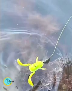 Ramai Pancing Umpan Gabus tomang Katak kodok soflure berkaki tendangan super siap pakai 5gr