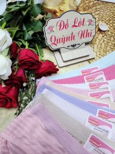 Combo 10 Quần Lót Nữ Thông Hơi Cạp Ren Vải Thun Lạnh Co Giãn 4 Chiều Nhiều Màu Sắc Size : 40- 53 Kg [2008]  - Đồ Lót Quỳnh Nhi