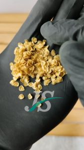 Biji Terong Pari Obat Sakit Gigi (PER 10 KANTONG BONUS 2)