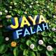 Jaya falah