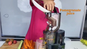Fully Automatic Juicers Heavy Duty 500W Juicer Machine Original Electric Juicer Fruits and Vegetables with Separator Portable Juicer Multi-Functional Fresh Squeezed For Office Restaurant Home