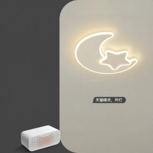 Creative Childrens Room LED Ceiling Light