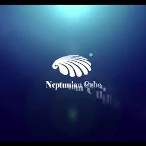 Sea Cube Landscape Glue Live Stone Stick Stone Skeleton Glue Sea Tank Plaster Coral Glue National Elephant Sea Water Plant Fixed