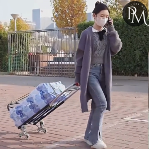 PM1988⚡พร้อมส่ง💯 รถเข็น 2ล้อ/3ล้อ รถเข็นพับได้ Cart รถเข็นอเนกประสงค์ ยืดได้ ล้อ PU/ล้อยาง พกพาสะดวก รถเข็นของ