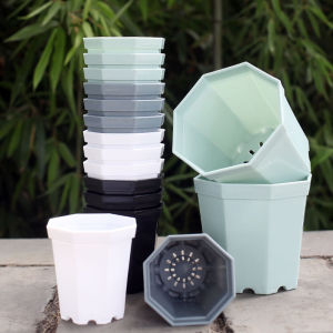 Octagonal Plastic Succulent Small Flower Pot Thickened Bracket Package Combination Green Plant Desktop Minimalist Balcony Generous Black and White Basin