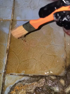 Nước tẩy rửa BERY 1000ml chính hãng – Đánh bay vết bẩn cứng đầu dùng cho nhiều loại bề mặt sàn nhà