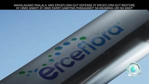 Erceflora Gut Defense Probiotic Daily Preventive Support Supplement For Kids & Adults 10 Bottles