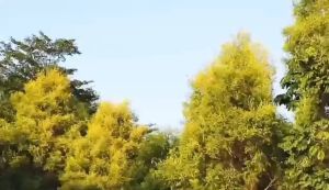 เครื่องอุ่นขวดนม กระเป๋าควบคุมอุณหภูมิขวดสำหรับเด็กทารก ที่อุ่นขวดนม กระเป๋าฉนวน กระเป๋าเก็บขวดนมแบบ USB พกพา สำหรับเด็กทารก ปรับอุณหภูมิได้ 3 ระดับความนาน