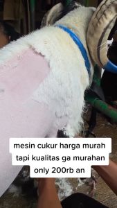 COD BaoRun Alat Cukur Elektrik P6 P7 Bulu Hewan Domba Garut Anjing Kucing Kambing / Mesin Cukur Bulu Binatang Bulu Lebat Paling Dicari Di Cas Super Tajam Tajam Pet Dog Clipper Charger /Terbaik Terlaris Termurah Profesional Rekomended Promo Paket Lengkap