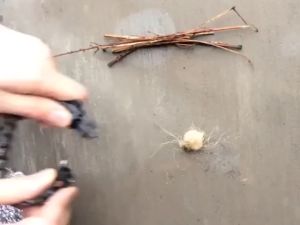 Gelang Outdoor Pluit & Fire Starter: Aksesori Survival Unik